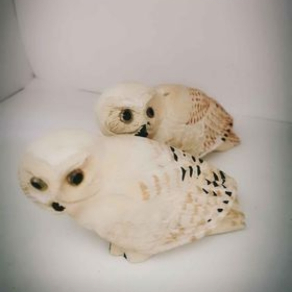 𝅺carved wood owl pair